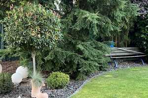 Zweifamilienhaus : Modernste Technik, Solarenergie & privater Pool – Nonnenweg 31, 51503 Rheinisch-Bergischer Kreis – Vorschaubild 8