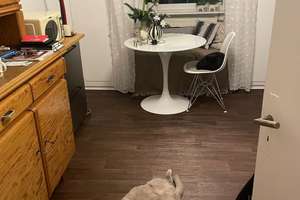 Helle 3-Zimmer Wohnung im 4. OG mit Balkon in Saarbrücken – Schopenhauerstr 19, 66111 St. Johann, Saarbrücken – Vorschaubild 5