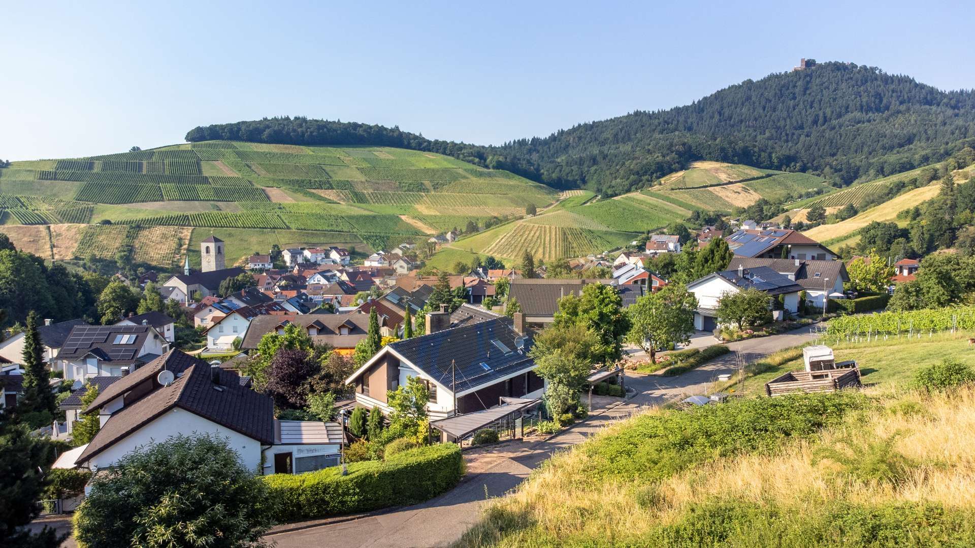 Architektenhaus in herrlicher Aussichtslage von Baden-Baden Neuweier, Baden Baden – Bild 3