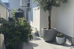 Property thumbnail 10