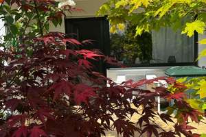 Neureut: Helle 2-Zimmer-Wohnung mit Terrasse – Die vollständige Adresse der Immobilie erhältst du vom Anbieter., 76149 Neureut, Karlsruhe – Vorschaubild 2