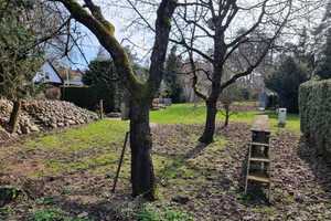 Mitten in Wandlitz großes teilbares Baugrundstück 1.300 m²
mit sanierungsbedürftigen Einfamilienhau – Barnim (Kreis) – Vorschaubild 45
