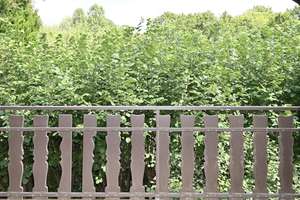 Münster Roxel: Hochwertiges Einfamilienhaus Einliegerwohnung Gewerbehalle schöner Garten zu verk! – 48161 Roxel, Münster – Vorschaubild 10