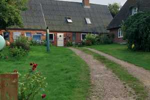 Historisches Bauernhaus, inkl. Ferienwohnung, auf einer Warft an der Nordsee! ohne Markler! – Dorfstrasse 19, 25842 Nordfriesland (Kreis) – Vorschaubild 5