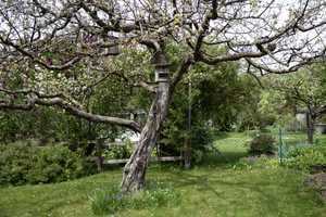 Großzügiges Wohlfühl-Haus mit wunderschönem Gartenidyll in Probstried – Oberallgäu (Kreis) – Vorschaubild 2