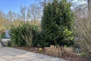 Helle 2-Zimmerwohnung mit Terrasse in perfekter Lage! – 51381 Lützenkirchen, Leverkusen – Vorschaubild 2