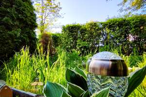 ***Ab 01.08.2026 frei zur Selbstnutzung,  Terrasse mit eigenem Gartenanteil*** – Louise-Seidler-Straße 19, 1217 Leubnitz-Neuostra, Dresden – Vorschaubild 6