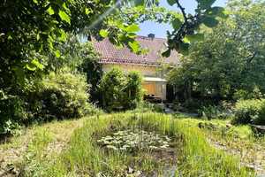 RESERVIERT! Wohnhaus nebst Doppelcarport und tollem Garten mit beeindruckender Pflanzenvielfalt! – Lippe (Kreis) – Vorschaubild 3