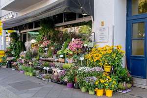 Property thumbnail 13