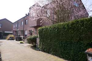 Herausragend für die Familie - Reihenhaus in ruhiger, familienfreundlicher Lage von Castrop-Rauxel – Recklinghausen (Kreis) – Vorschaubild 4