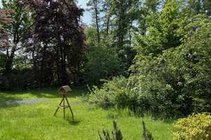 ST. AUGUSTIN NIEDERBERG, freist. EFH mit ELW, 8 Zimmer 258 m² Wfl. 2 Garagen, Keller, gr. 1.527 GrSt – Die vollständige Adresse der Immobilie erhältst du vom Anbieter., 53757 Sankt Augustin – Vorschaubild 63