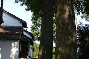 Viel Platz für den Alltag in diesem Reihenmittelhaus in Darmstadt – 64297 Eberstadt, Darmstadt – Vorschaubild 6