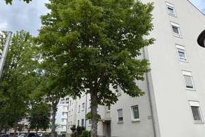 3-Zimmer-Wohnung in Mannheim-Rheinau für Kapitalanleger oder Eigennutz – Relaisstraße 109, 68219 Rheinau, Mannheim – Vorschaubild 2