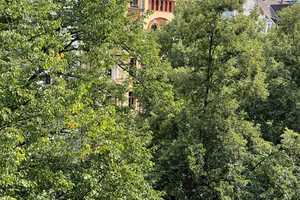 Eine schicke 3 ZKBB Altbauwohnung sucht nette Mieter. – Goebenstraße 0, 65195 Wiesbaden – Vorschaubild 2