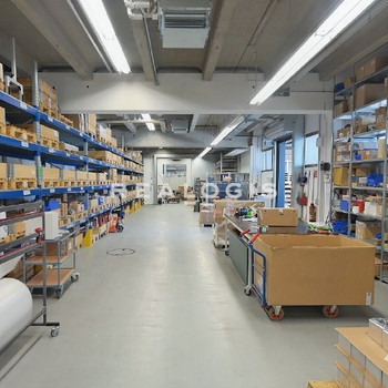 Lager/ Produktion - Rampe & ebenerdig - 4,80 bis 6,50 m UKB