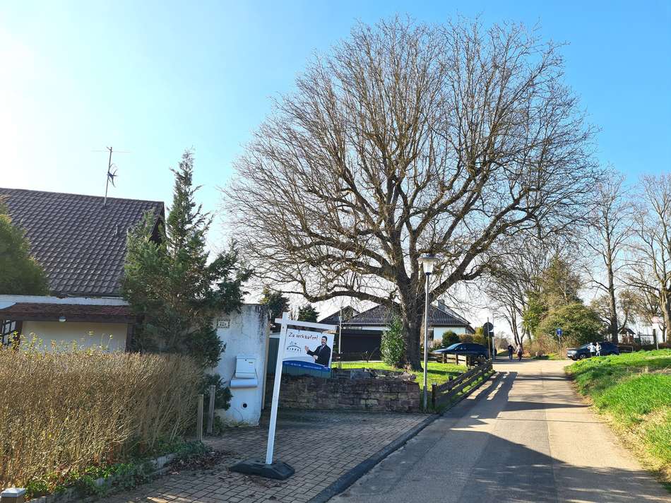 sehr schöne Lage