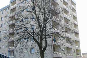 2-Zimmer-Wohnung in Dortmund Aplerbeck – Bergmeisterstraße 19, 44269 Schüren, Dortmund – Vorschaubild 16