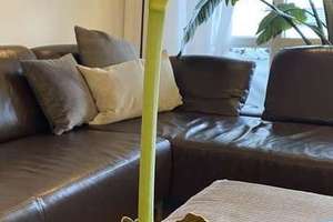 Helle, freundlich möblierte 3 Zimmer Citywohnung im Westend – Landsberger Straße 141, 80339 Westend, München – Vorschaubild 16