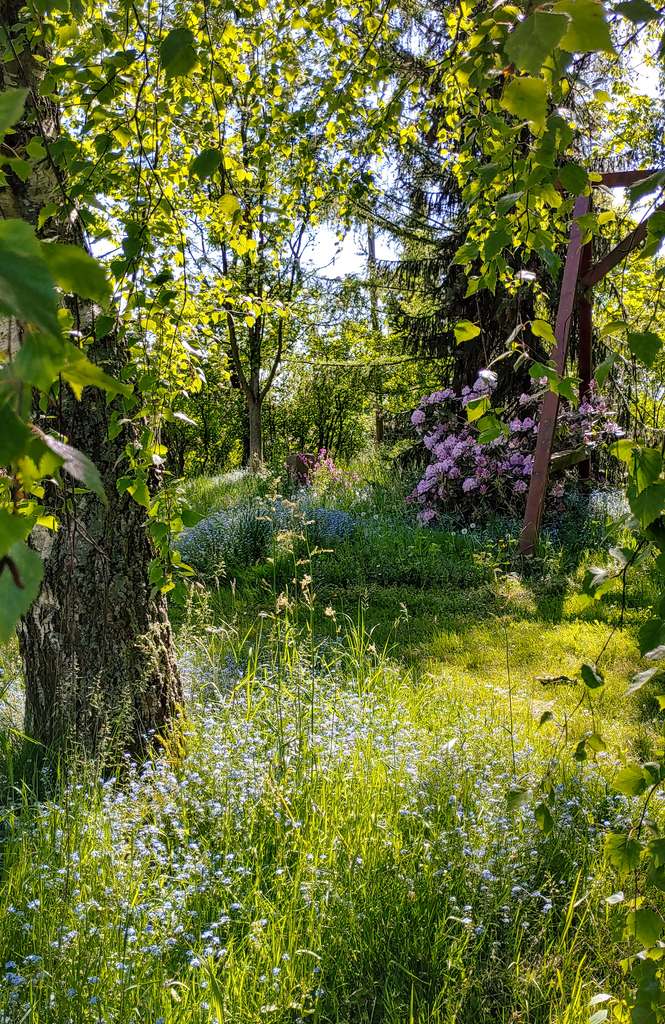 Immobilie in Großweitzschen - Großzügiges Einfamilienhaus auf idyllischem Grundstück und vielseitigen Nutzungsmöglichkeiten - Bild 4