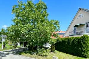Großzügiges Wohnhaus direkt an der Ostsee – ideal für Familien, Mehrgenerationen und Kapitalanleger – Die vollständige Adresse der Immobilie erhältst du vom Anbieter., 23968 Hohenkirchen – Vorschaubild 35