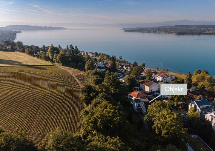 IHR LOGENPLATZ ÜBER DEM SEE - Historische Villa mit modernem Anbau in Überlingen