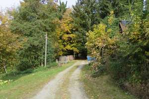 Wochenendhaus auf der Rusel in sehr sonniger Waldrandlage mit Fernsicht – Die vollständige Adresse der Immobilie erhältst du vom Anbieter., 94469 Deggendorf – Vorschaubild 52