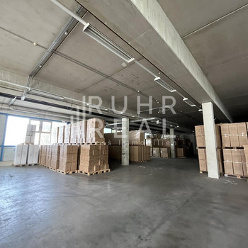 Hallenfläche | ebenerdige Andienung | Köln 