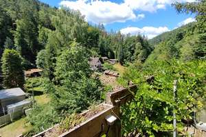 Erholung pur im Pfälzerwald! Idyllisches Wochenendhaus in Frankenstein (Pfalz) – Schliertal 22, 67468 Frankenstein – Vorschaubild 9