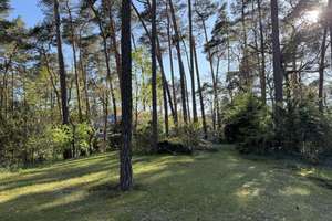 Neu! Frohnau - Großzügige Komfortwohnung in Frohnauer Toplage mit Befristung – Die vollständige Adresse der Immobilie erhältst du vom Anbieter., 13465 Frohnau, Berlin – Vorschaubild 10