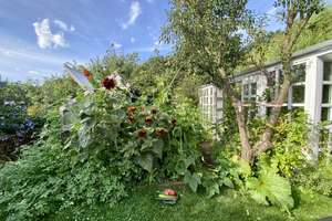 Energetisch saniertes Familienhaus mit separatem Studio, Naturgarten & Waldrandlage – Die vollständige Adresse der Immobilie erhältst du vom Anbieter., 29225 Celle – Vorschaubild 30