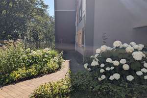 Schöne 2-Zimmer-Wohnung mit Balkon am Wehberg – Starenweg 12, 58507 Lüdenscheid – Vorschaubild 2
