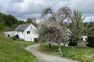 Glücksmühle-ehem. Wassermühle in herrlicher Lage, ohne Provision, kein Denkmalschutz – Die vollständige Adresse der Immobilie erhältst du vom Anbieter., 7907 Schleiz – Vorschaubild 4
