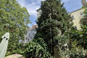Chance: 2 Zimmerwohnung und  Dachgeschoss zum Ausbau – Glasstraße 11, 68305 Waldhof, Mannheim – Vorschaubild 14