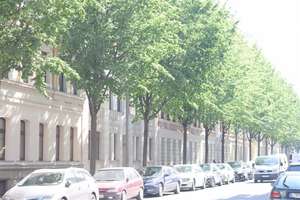 IM SOMMER SELBST EINZIEHEN oder neu vermieten + Kapitalanlage in Leipzig Volkmarsdorf – Die vollständige Adresse der Immobilie erhältst du vom Anbieter., 4315 Volkmarsdorf, Leipzig – Vorschaubild 13