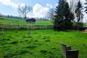 ** Ankommen und Wohlfühlen: Ihr gemütliches Refugium am Wald ** – Die vollständige Adresse der Immobilie erhältst du vom Anbieter., 53925 Kall – Vorschaubild 2