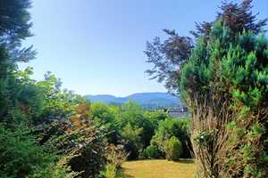 Einfamilienhaus im Grünen mit Ausblick über den Pfälzerwald – Südwestpfalz (Kreis) – Vorschaubild 20