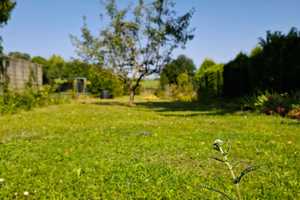Einfamilienhaus mit großem Garten – Rhein-Pfalz-Kreis – Vorschaubild 8