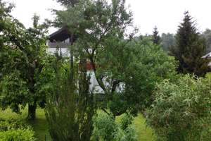 Charmantes Wohlfühlhaus mit Terrasse und kl. Garten in ruhiger Lage – Dammweg 16/1, 69245 Bammental – Vorschaubild 11