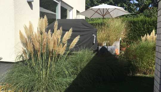 Bild von Freistehendes, vollständig saniertes Einfamilienhaus mit Dachterrasse Garage & Garten