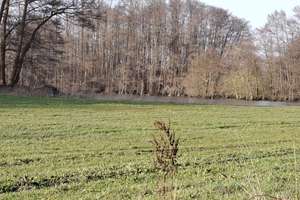 von privat: Riesengrundstück mit 2-FH in Delmenhorst-Neuendeel – Neuendeeler Weg 7, 27751 Ländlicher Norden, Delmenhorst – Vorschaubild 27