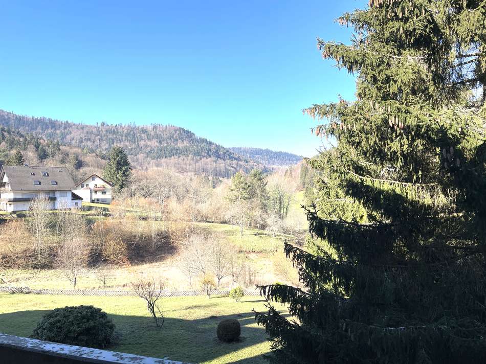 Ausblick