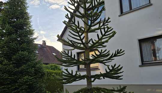 Bild von Zweifamilienhaus mit wunderschönem Garten, Doppelgarage und großem bebaubarem Grundstück