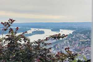 Oberste Hanglage mit Weitblick und Waldzugang: Repräsentatives freistehendes EFH – Mainz-Bingen (Kreis) – Vorschaubild 10