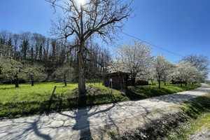 Schöne Familienfreundliche 5-Zimmer-Doppelhaushälfte mit Keller und Doppel-Carport in Schliengen – Lörrach (Kreis) – Vorschaubild 2