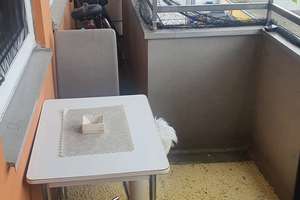 Helle, ruhige sonnige 2-Zimmer Wohnung im 3. OG/Hochhaus mit Balkon in Nürnberg-Langwasser – Wettersteinstraße 51, 90471 Langwasser Nordwest, Nürnberg – Vorschaubild 4