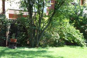 Terrassenwohnung am Naherholungsgebiet in HH-Niendorf – Hermundurenweg 3, 22453 Niendorf, Hamburg – Vorschaubild 8