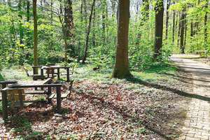 2 Bäder! 5-Zimmer! Gläsernes Home-Office, junge Küche, Topzustand, Waldblick + Einrichtg.angebot… – Im Asemwald 54, 70599 Asemwald, Stuttgart – Vorschaubild 79