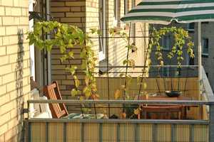 Niendorf 5 Minuten zum Tibarg in parkähnlicher Wohnanlage 1-Zimmer, Vollbad, Einbauküche, S-Balkon – König-Heinrich-Weg 9a, 22459 Hamburg – Vorschaubild 4