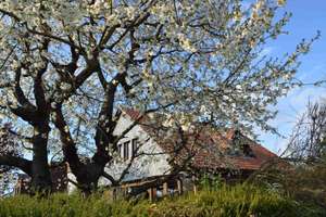 Idyllisches Landhaus mit traumhaftem Weitblick – Die vollständige Adresse der Immobilie erhältst du vom Anbieter., 30966 Hemmingen – Vorschaubild 13