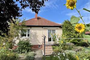 Großes Grundstück - teilbar - mit kleinem Haus in Adlershof – Friedlander Straße 83, 12489 Adlershof, Berlin – Vorschaubild 5